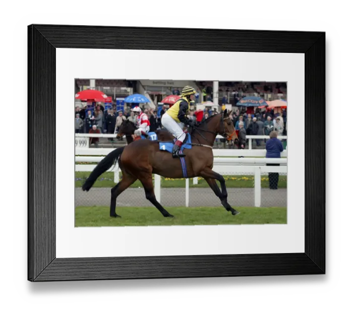 Framed Print : Pomfret Ridden By Alex Greaves Doncaster Lincoln Meeting Doncaster Framed Print : Pomfret Ridden By Alex Greaves Doncaster Lincoln Meeting Doncaster