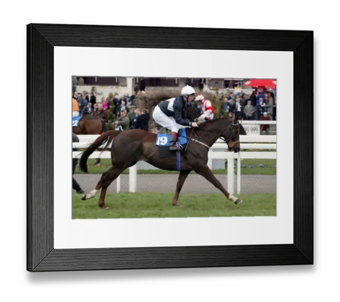 Framed Print : Awake Ridden By Martin Dwyer Doncaster Lincoln Meeting Doncaster Framed Print : Awake Ridden By Martin Dwyer Doncaster Lincoln Meeting Doncaster