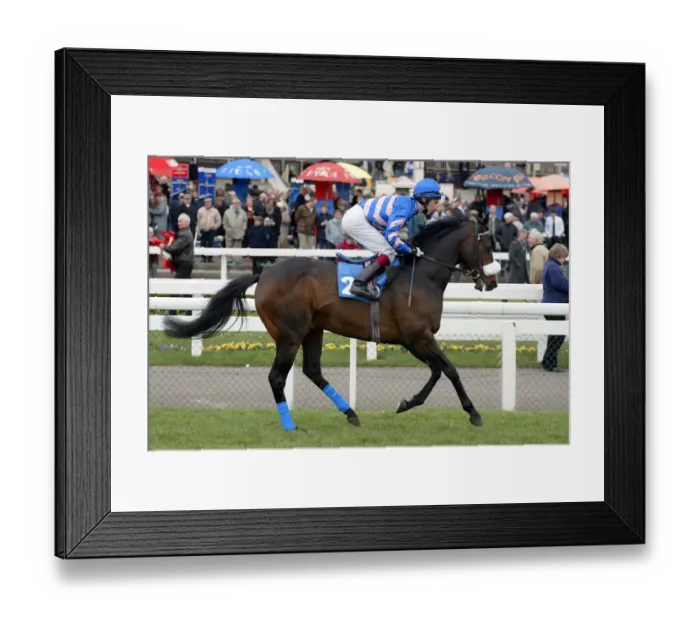 Framed Print : No Time Ridden By L.Fletcher Doncaster Lincoln Meeting Doncaster Framed Print : No Time Ridden By L.Fletcher Doncaster Lincoln Meeting Doncaster