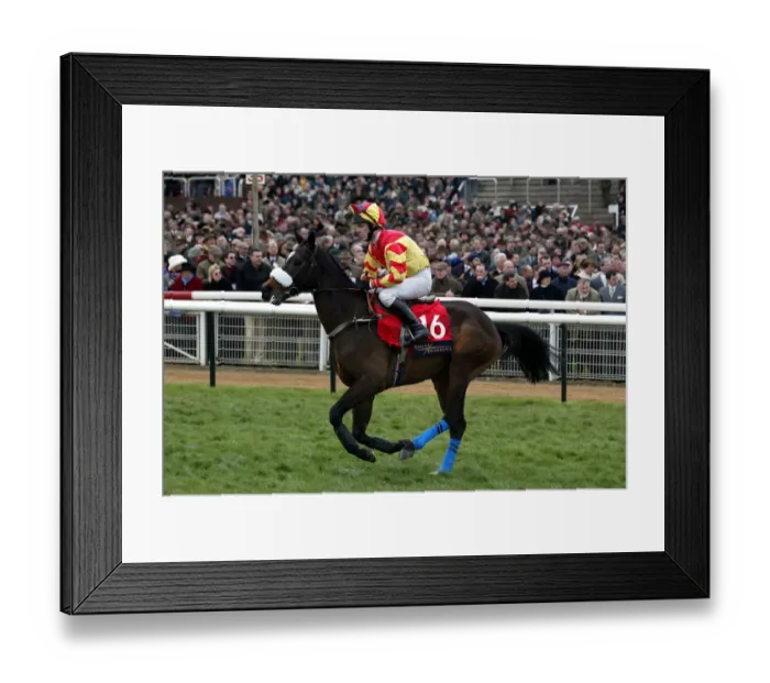 Framed Print : Master George