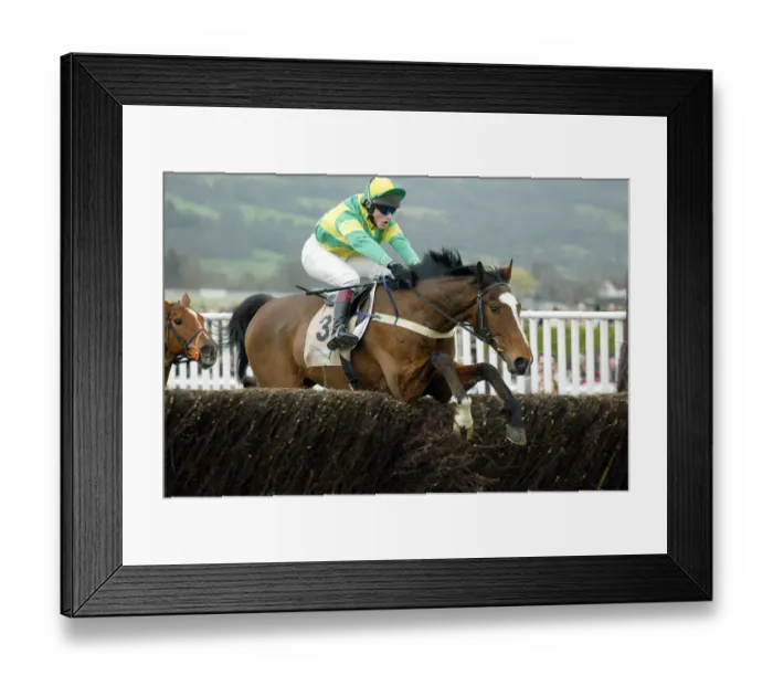 Framed Print : Ei Ei Ridden By L.Vickers Cheltenham Festival 2004 Cheltenham Racecourse