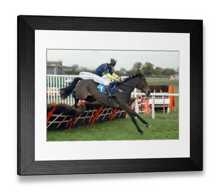 Framed Print : Mister Mcgoldrick Framed Print : Mister Mcgoldrick