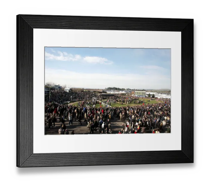 Framed Print : Cheltenham Racecourse Framed Print : Cheltenham Racecourse