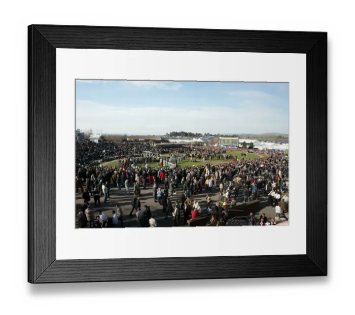 Framed Print : Cheltenham Racecourse Framed Print : Cheltenham Racecourse