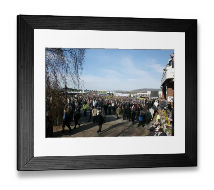 Framed Print : Cheltenham Racecourse Framed Print : Cheltenham Racecourse