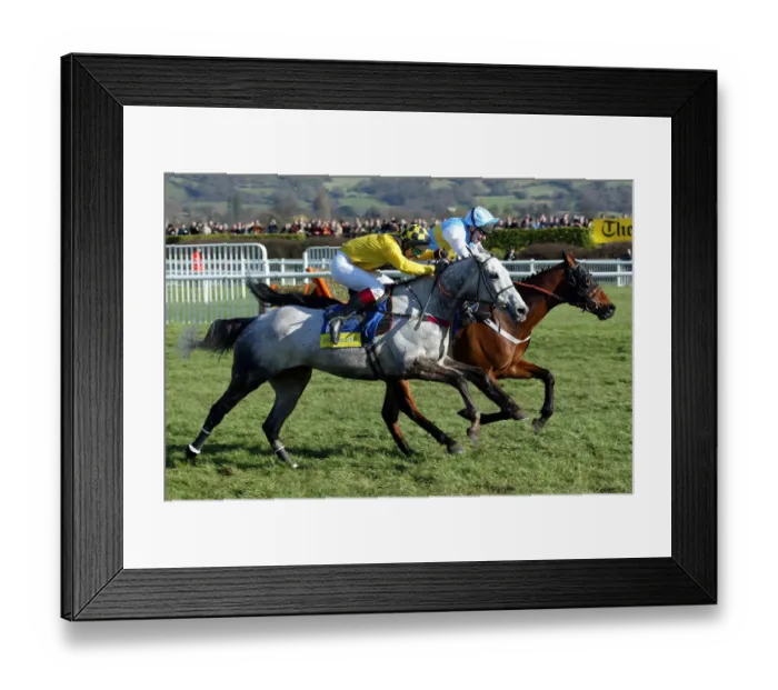 Framed Print : Rooster Booster & Hardy Eustace Framed Print : Rooster Booster & Hardy Eustace