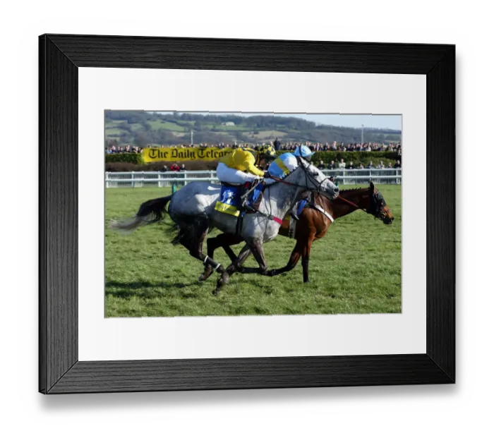 Framed Print : Rooster Booster & Hardy Eustace Framed Print : Rooster Booster & Hardy Eustace