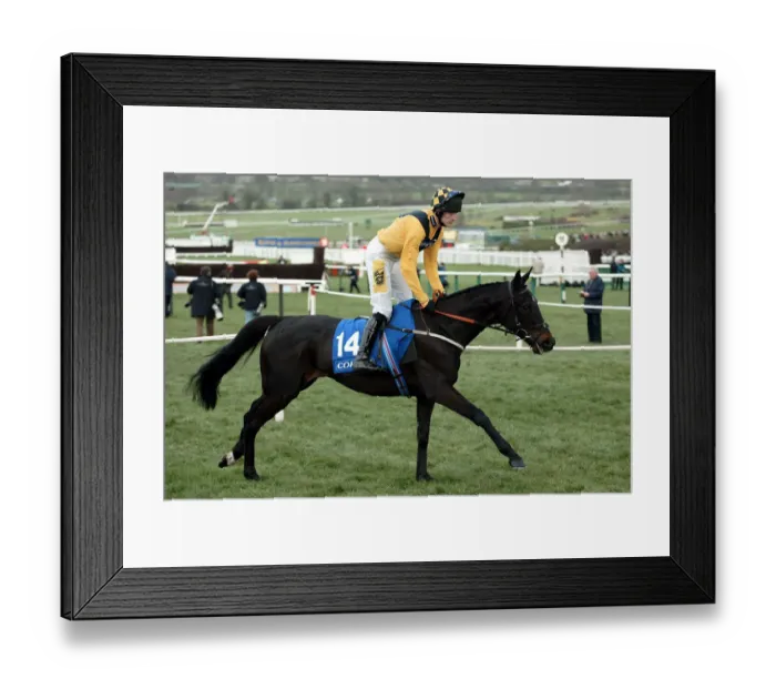 Framed Print : Sud Bleu Ridden By R.Walsh Cheltenham Festival 2004 Cheltenham Racecourse