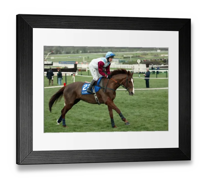 Framed Print : Almaravide