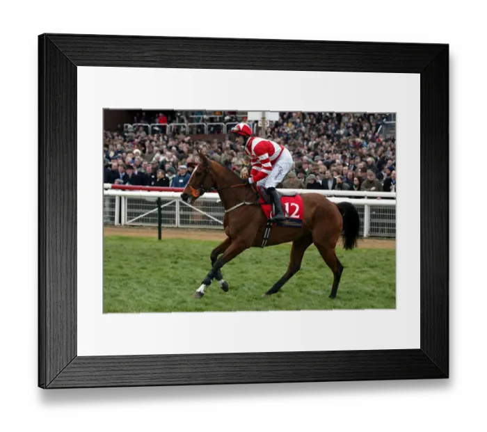 Framed Print : Iverain Ridden By T.J.Murphy Cheltenham Festival 2002 Cheltenham Racecourse Framed Print : Iverain Ridden By T.J.Murphy Cheltenham Festival 2002 Cheltenham Racecourse
