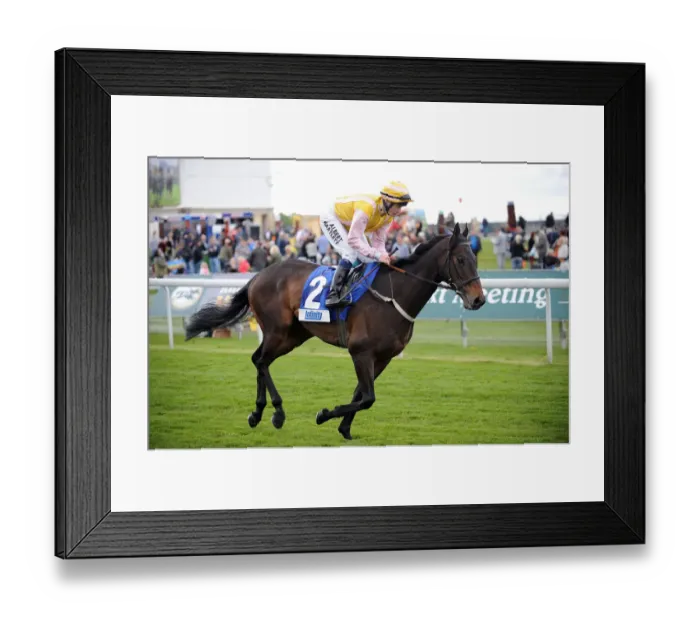 Framed Print : Sirvino Ridden By Jamie Spencer Dante Festival Framed Print : Sirvino Ridden By Jamie Spencer Dante Festival