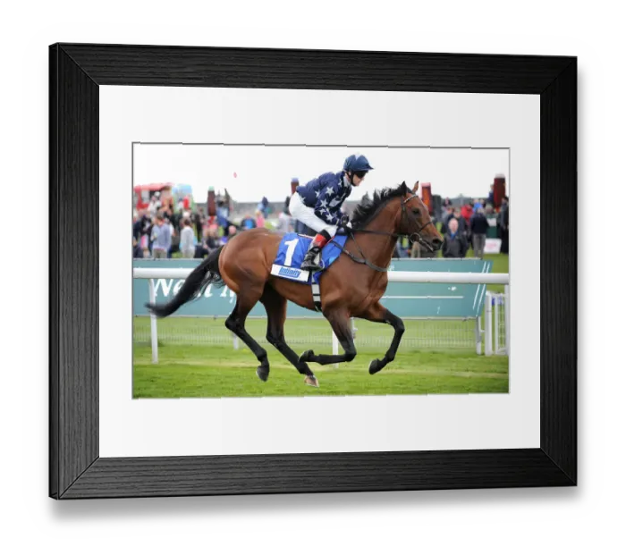 Framed Print : Kirthill Ridden By Keiran Fallon Dante Festival Framed Print : Kirthill Ridden By Keiran Fallon Dante Festival