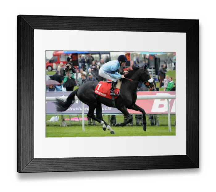 Framed Print : Bonfire Ridden By Jimmy Fortune Wins The Dante Festival Framed Print : Bonfire Ridden By Jimmy Fortune Wins The Dante Festival