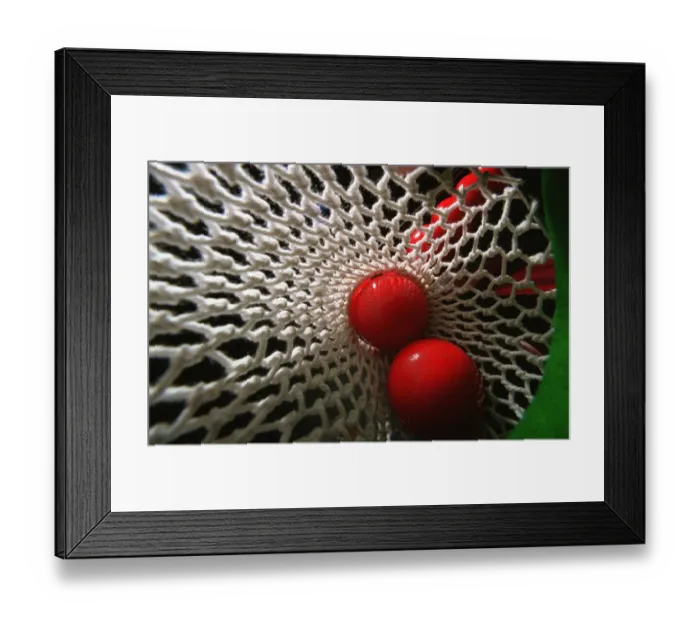 Framed Print : Red Balls In Pocket(Top View) Framed Print : Red Balls In Pocket(Top View)
