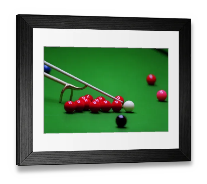 Framed Print : Spider Rest Framed Print : Spider Rest