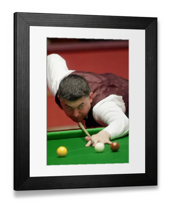 Framed Print : John Parrot Framed Print : John Parrot