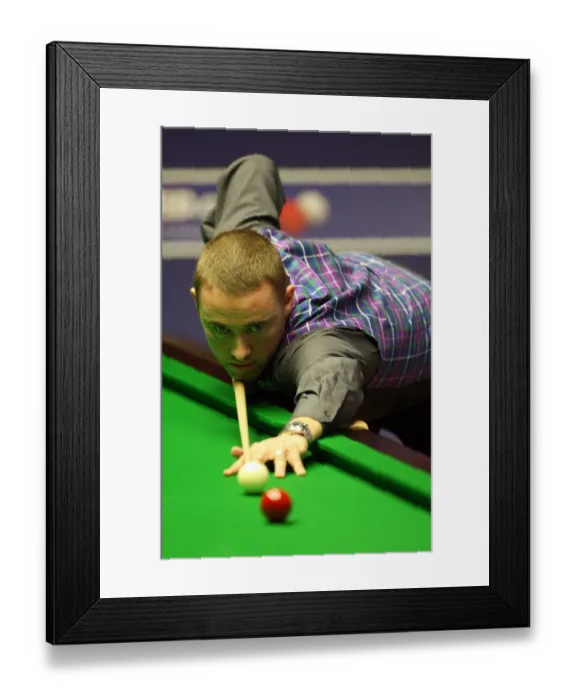 Framed Print : Stephen Hendry Mbe Framed Print : Stephen Hendry Mbe
