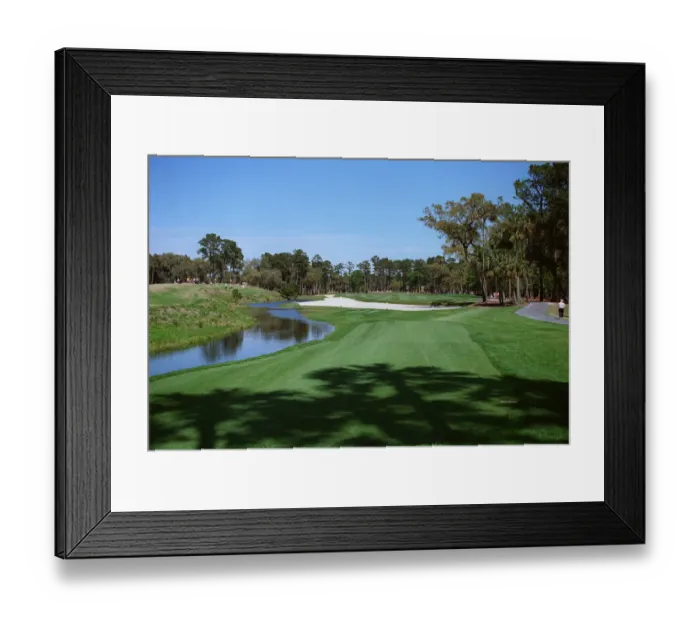 Framed Print : 7th Hole, Sawgrass