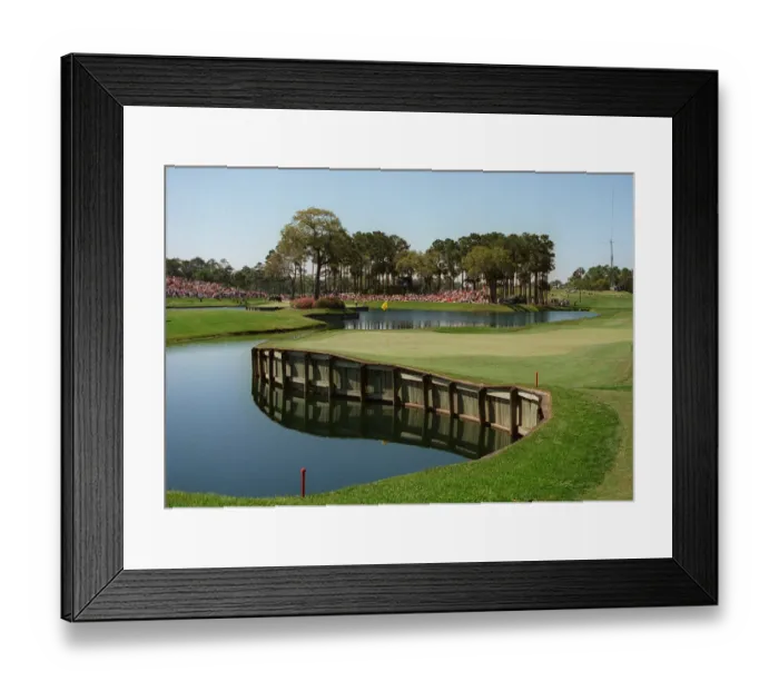 Framed Print : 16th Hole At Sawgrass Framed Print : 16th Hole At Sawgrass