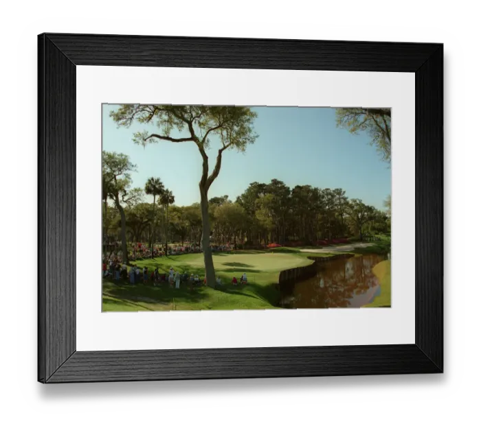 Framed Print : 13th Hole At Sawgrass