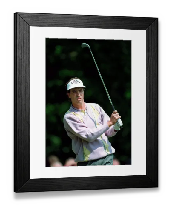 Framed Print : Stephen Ames Framed Print : Stephen Ames