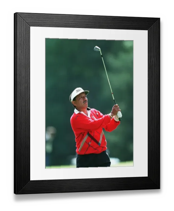 Framed Print : Vicente Fernandez Framed Print : Vicente Fernandez