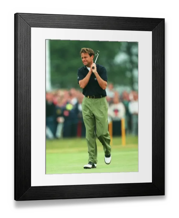 Framed Print : Mark Davis Framed Print : Mark Davis