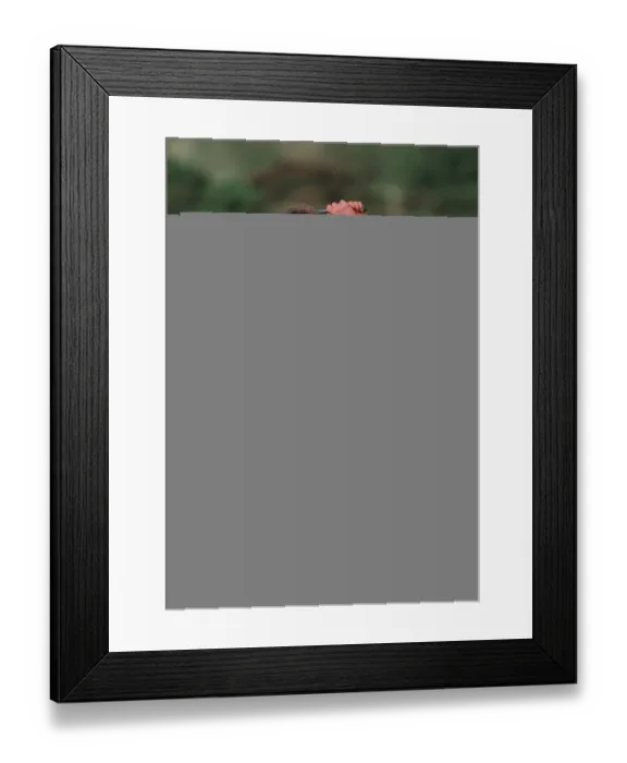 Framed Print : Nick Price Framed Print : Nick Price