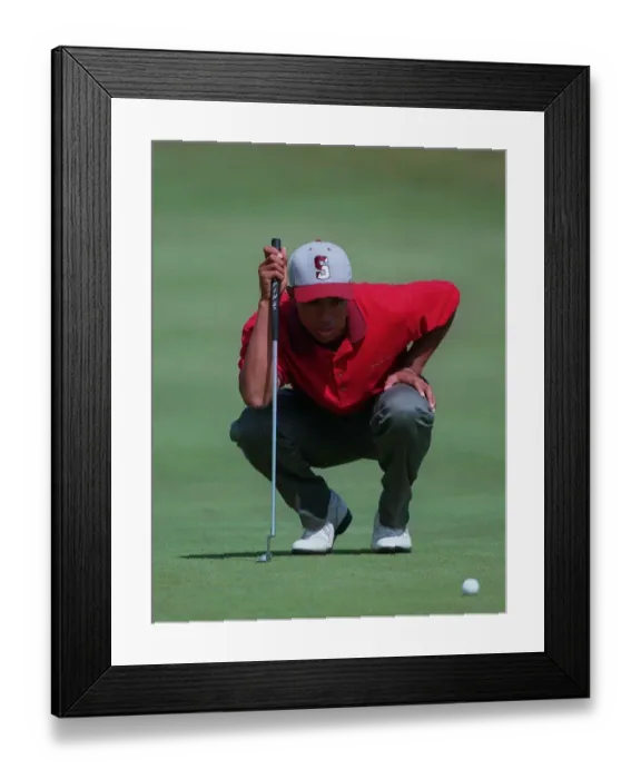 Framed Print : Tiger Woods Framed Print : Tiger Woods
