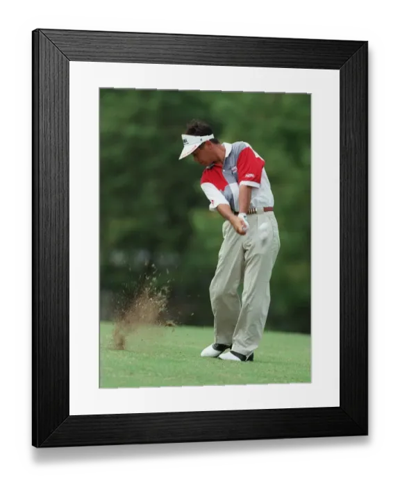 Framed Print : Toshimitsu Izawa