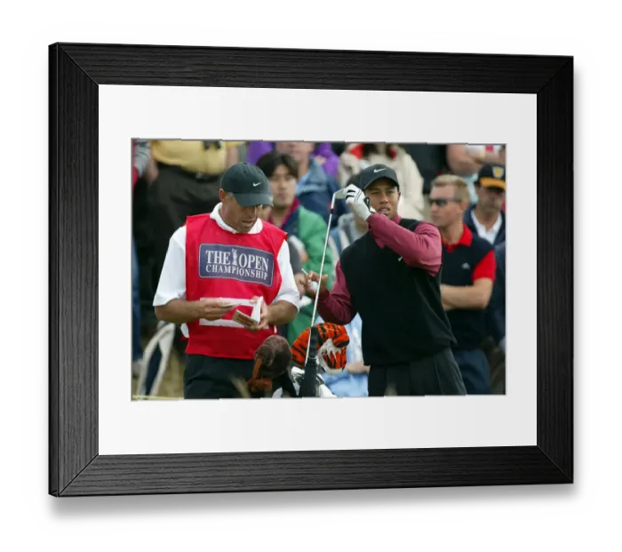 Framed Print : Tiger Woods Framed Print : Tiger Woods