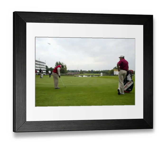 Framed Print : Tiger Woods Chips To 18th Framed Print : Tiger Woods Chips To 18th