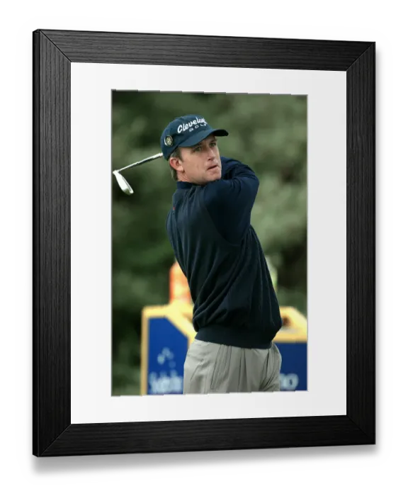 Framed Print : David Toms Framed Print : David Toms