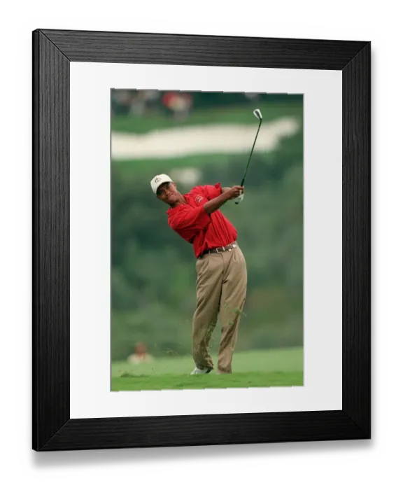 Framed Print : Tiger Woods Framed Print : Tiger Woods