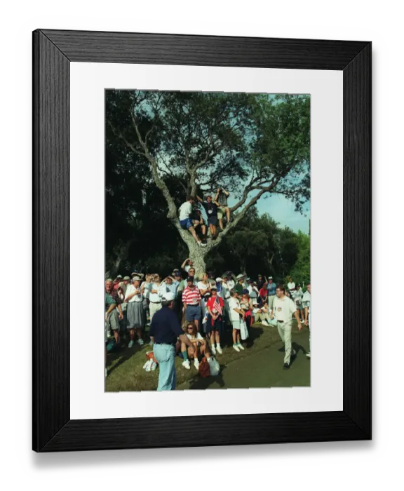 Framed Print : Spectators Up Trees Framed Print : Spectators Up Trees