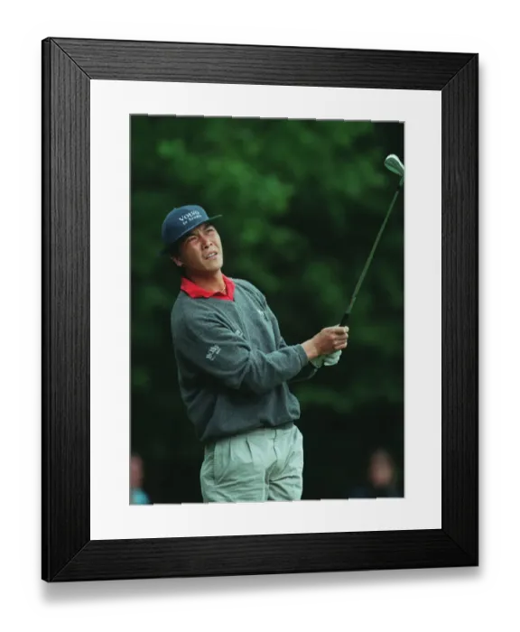 Framed Print : Lian-Wei Zhang Framed Print : Lian-Wei Zhang