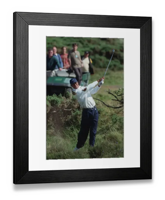 Framed Print : Tiger Woods In The Rough Framed Print : Tiger Woods In The Rough