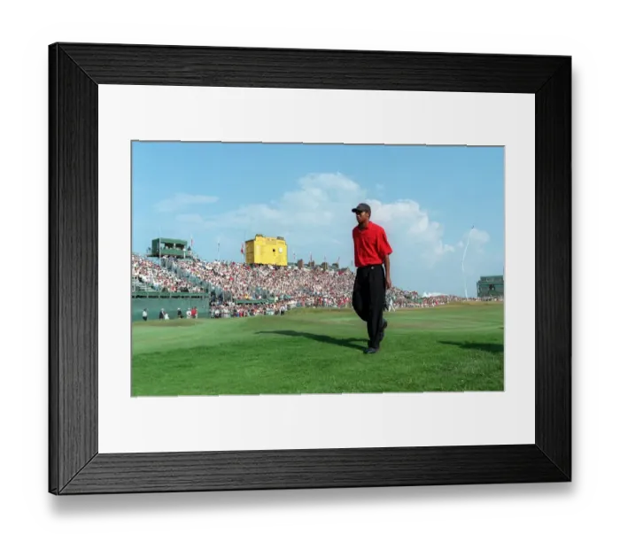 Framed Print : Tiger Woods Framed Print : Tiger Woods