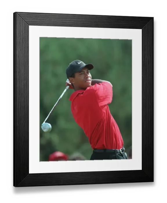 Framed Print : Tiger Woods