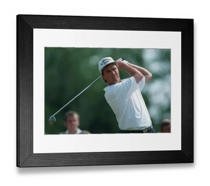 Framed Print : Stephen Ames Framed Print : Stephen Ames