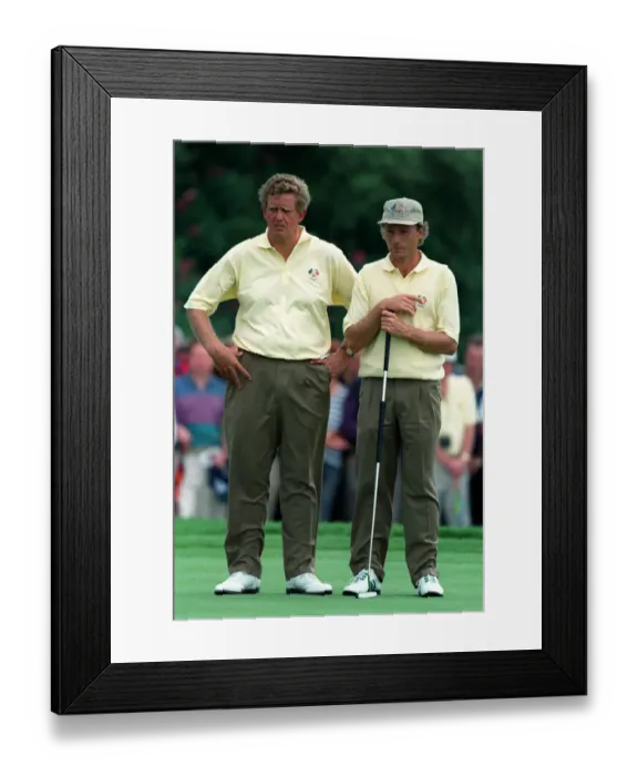 Framed Print : Montgomerie & Langer Framed Print : Montgomerie & Langer