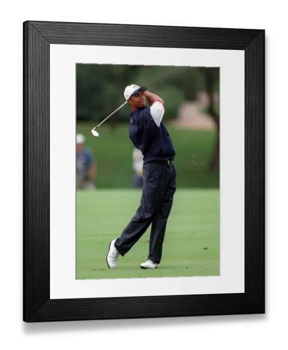 Framed Print : Tiger Woods Framed Print : Tiger Woods