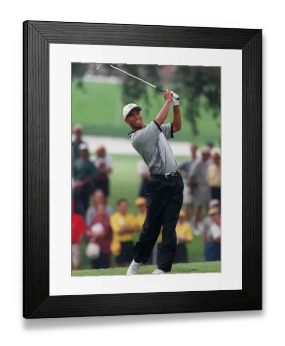 Framed Print : Tiger Woods Framed Print : Tiger Woods