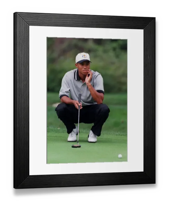 Framed Print : Tiger Woods Framed Print : Tiger Woods