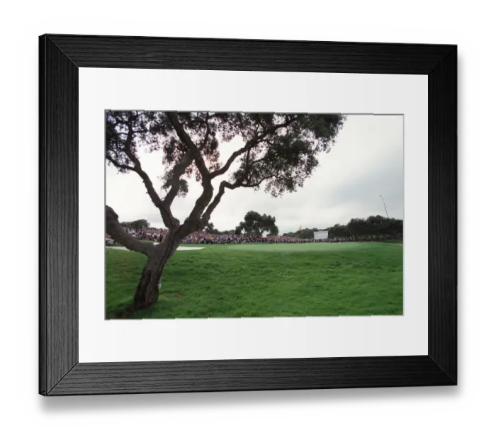 Framed Print : 18th Green, Valderrama Framed Print : 18th Green, Valderrama
