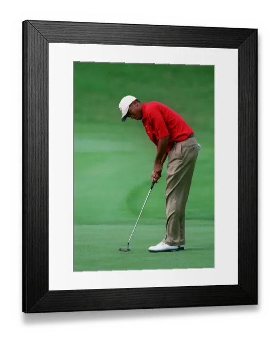 Framed Print : Tiger Woods Framed Print : Tiger Woods
