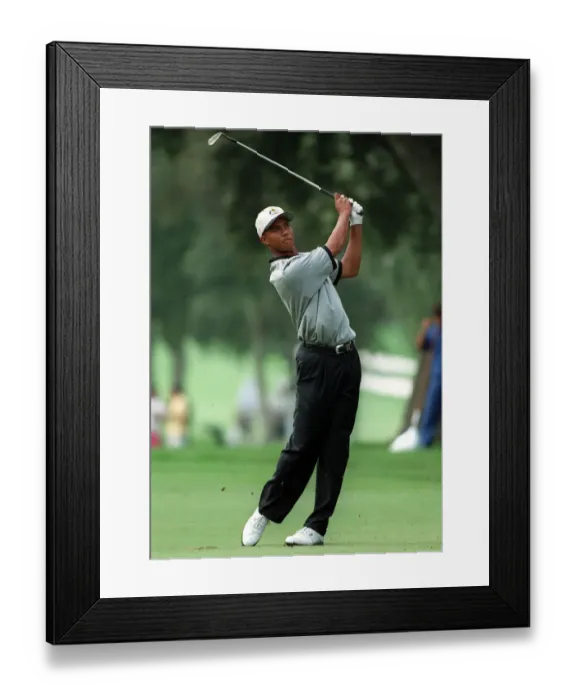 Framed Print : Tiger Woods Framed Print : Tiger Woods