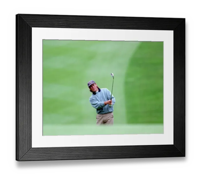 Framed Print : Pedro Linhart Framed Print : Pedro Linhart