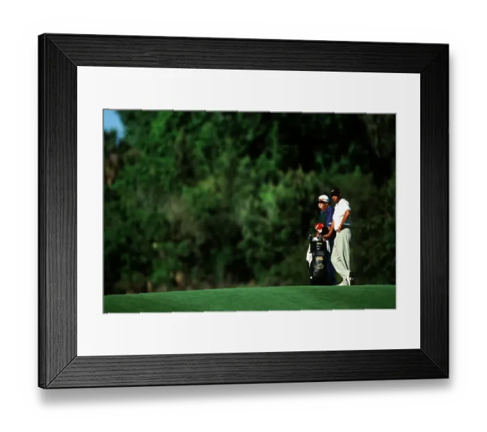 Framed Print : Tiger Woods Framed Print : Tiger Woods