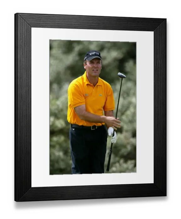 Framed Print : Thomas Levet